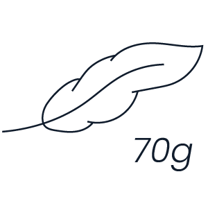 Light weight Icon